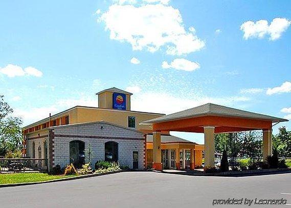Comfort Inn - Pocono Mountains White Haven Exterior foto