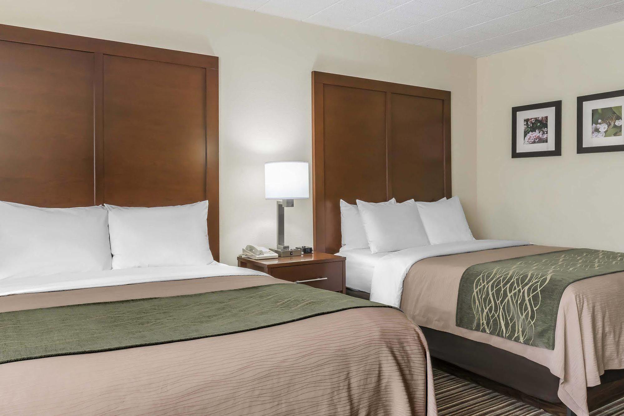 Comfort Inn - Pocono Mountains White Haven Exterior foto